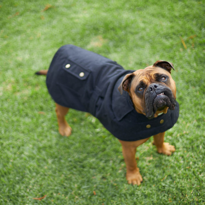 Aussie Oilskin Dog Coat - Black