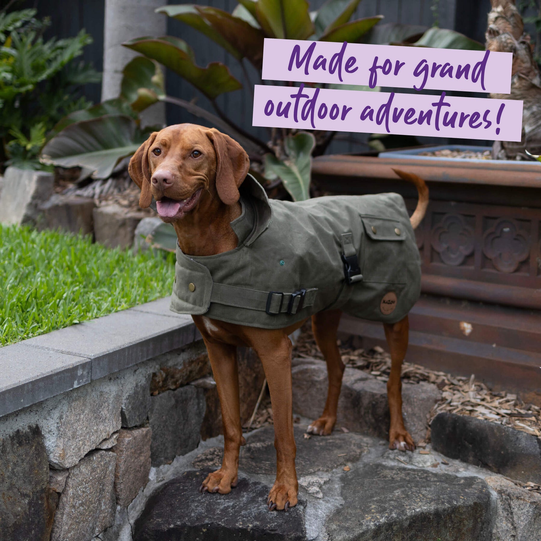 Aussie Oilskin Waterproof Dog Coat Olive Kazoo Pet Co