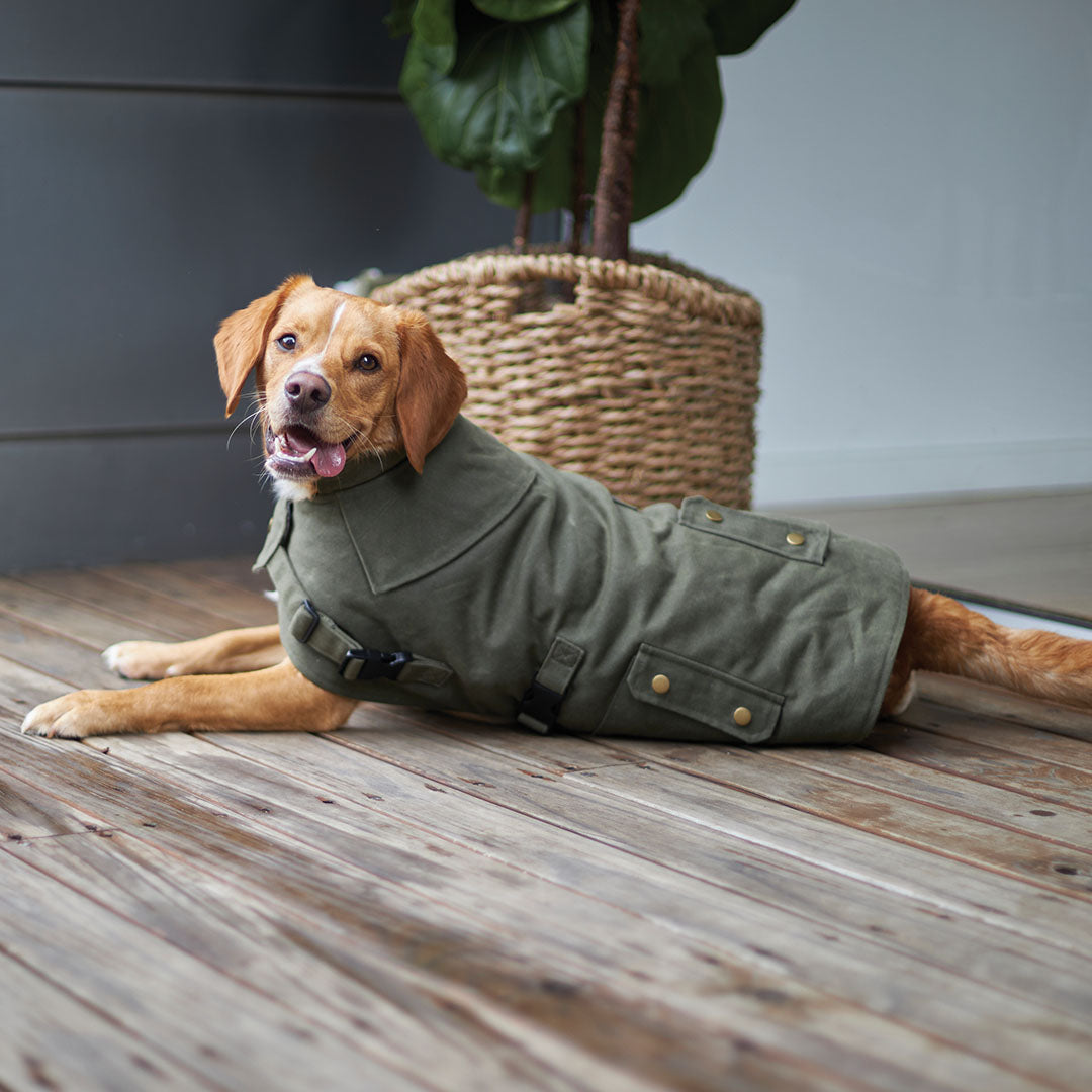 Aussie Oilskin Waterproof Dog Coat Olive Kazoo Pet Co