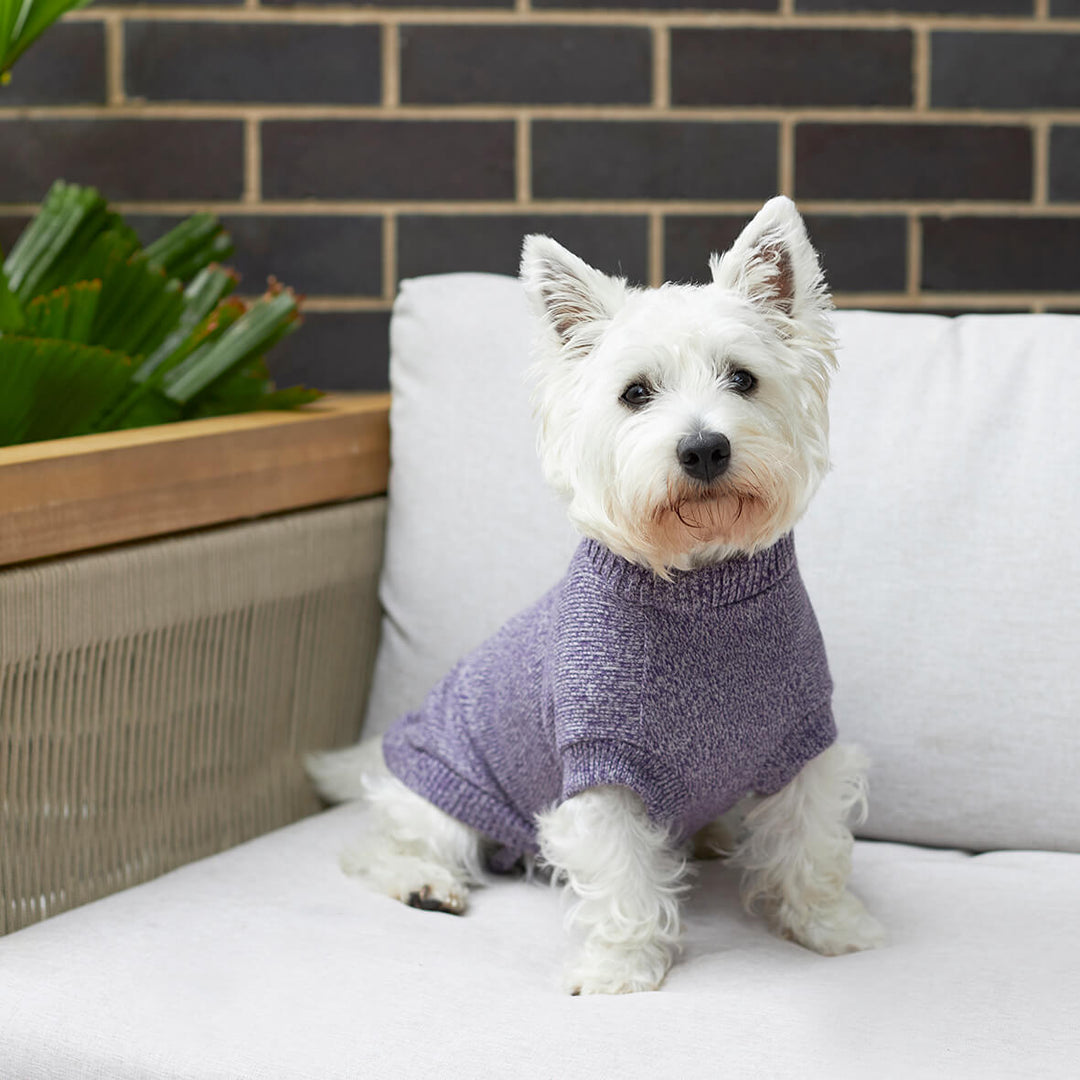 Soft Knit Dog Jumper - Lilac