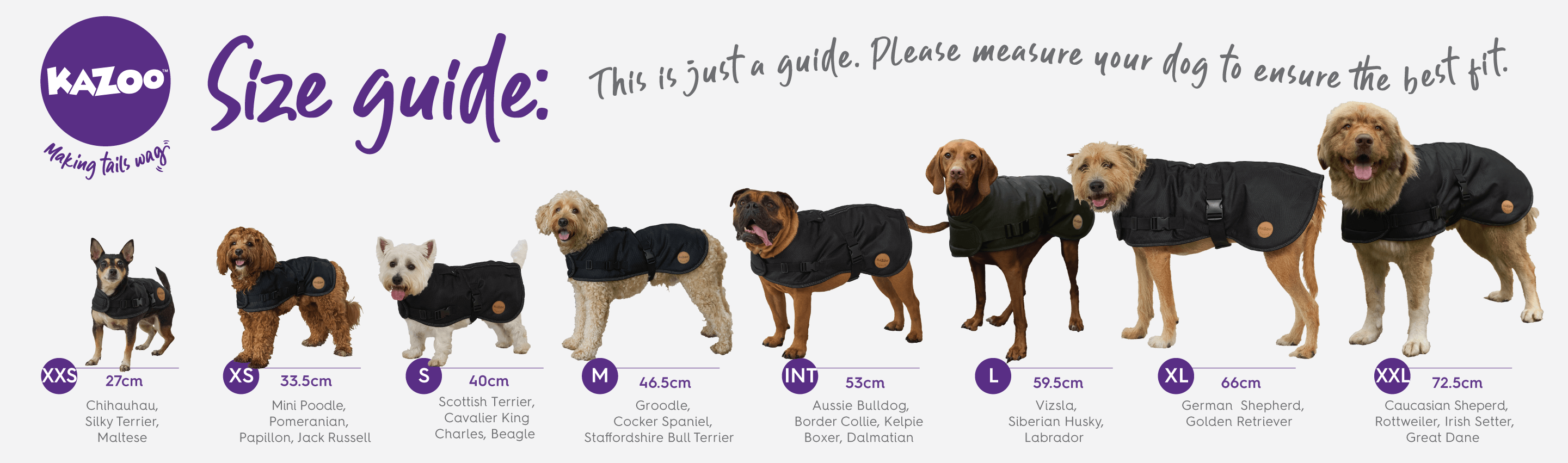Kazoo dog clothing size guide
