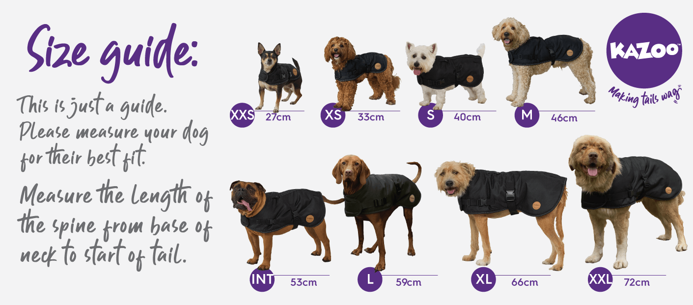 Kazoo dog clothing size guide