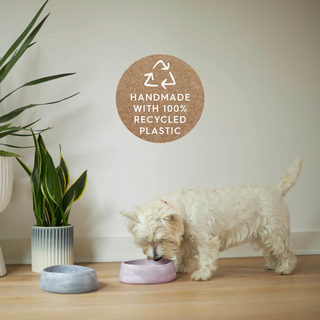 Better Bowl For Dogs - Ash Grey