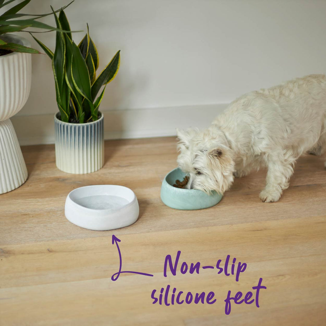 Better Bowl For Dogs - Sage Green