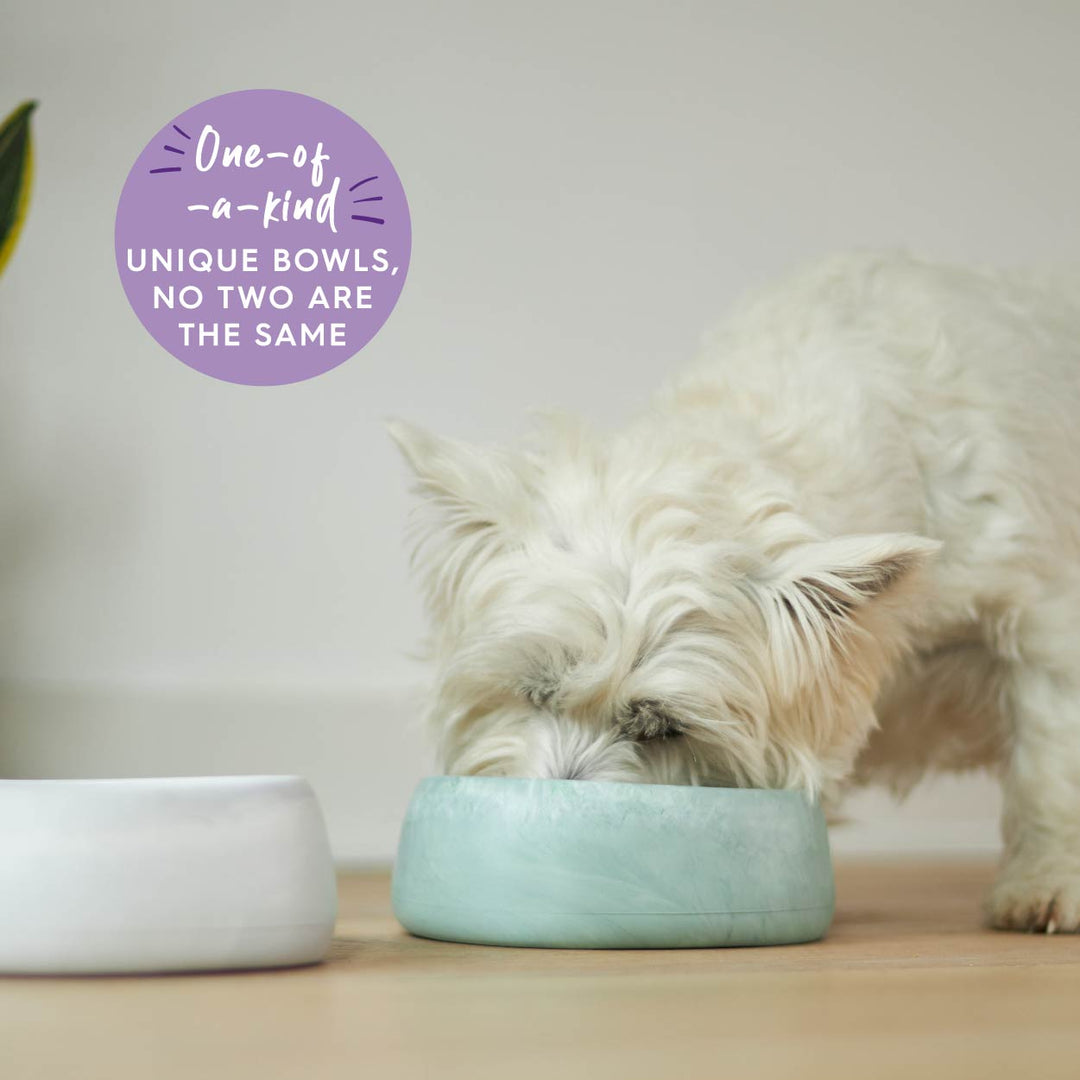 Better Bowl For Dogs - Marble White