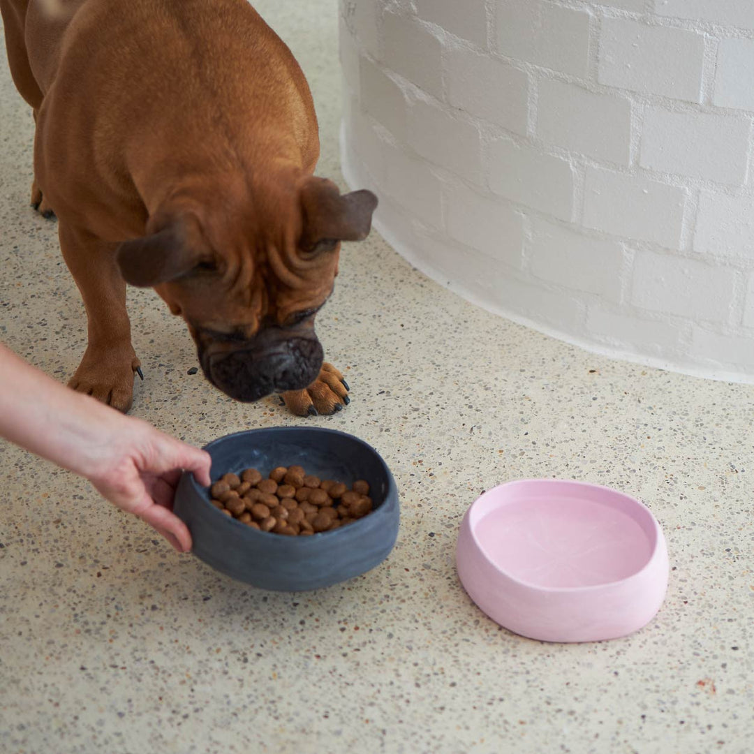 Better Bowl For Dogs - Charcoal Black