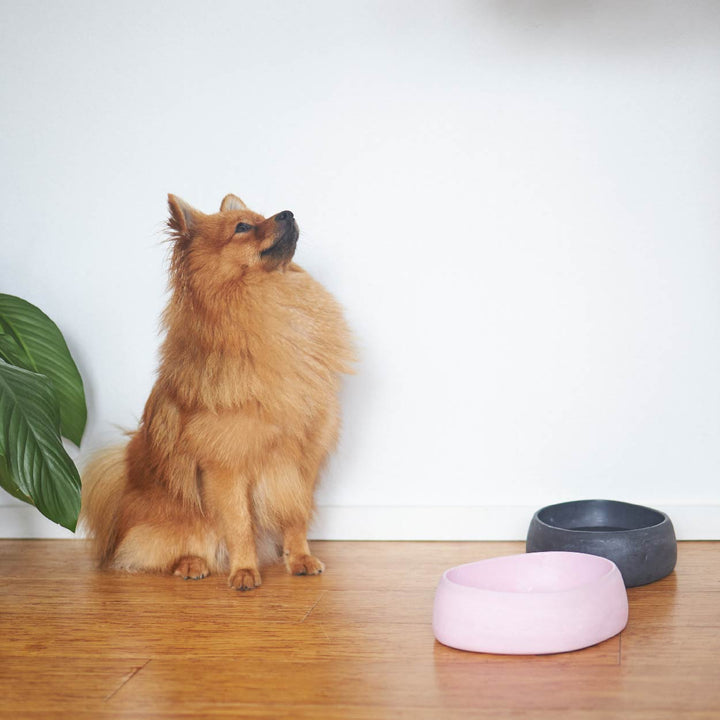 Better Bowl For Dogs - Musk Pink
