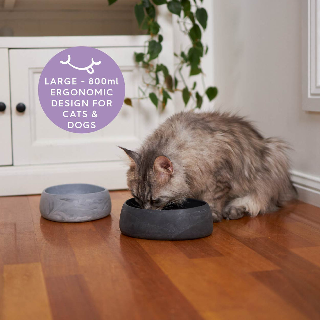 Better Bowl For Cats - Charcoal Black