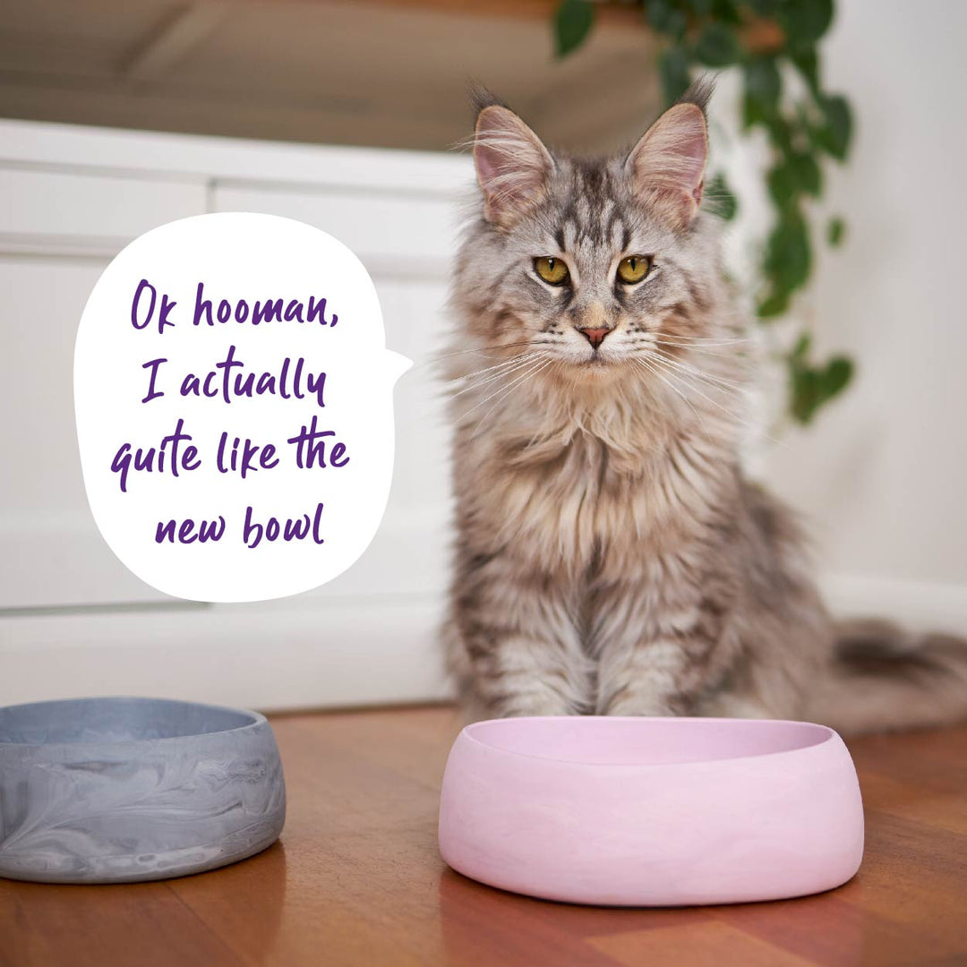 Better Bowl For Cats - Musk Pink