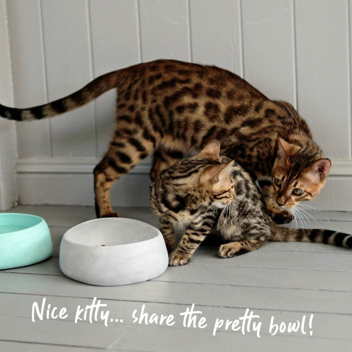 Better Bowl For Cats - Marble White