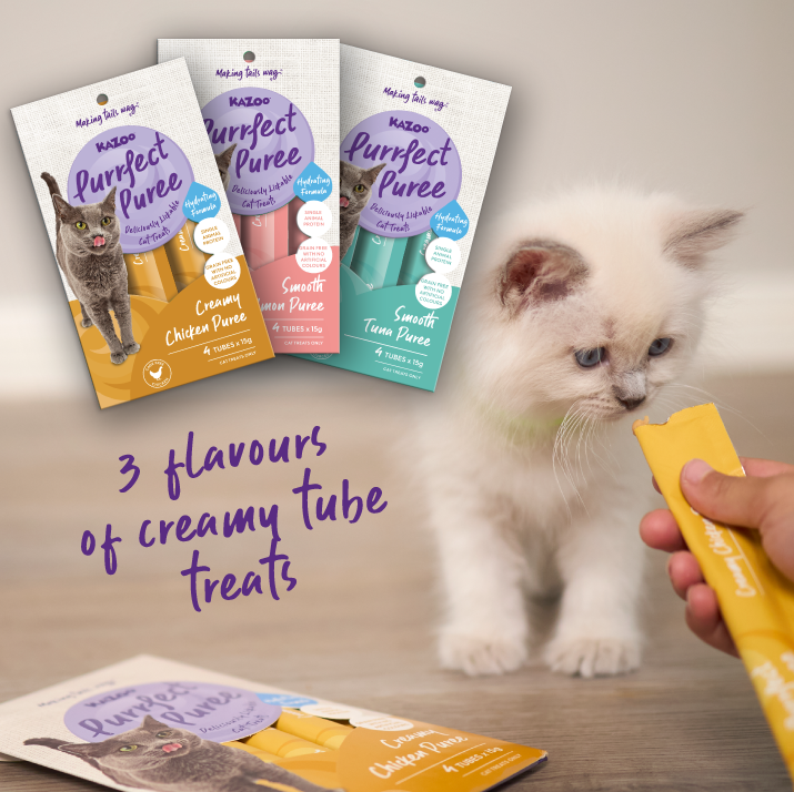 Cat Puree & Biscuit Treat Bundle