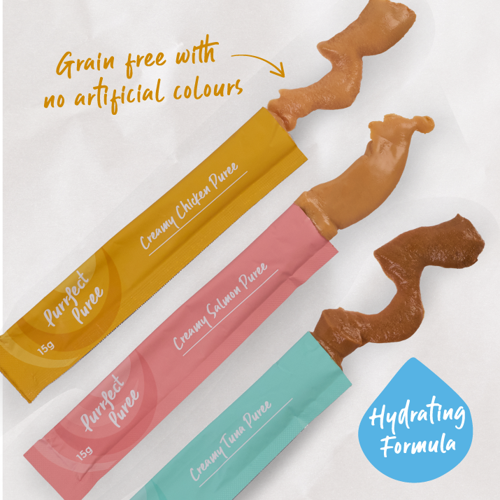 Cat Puree & Biscuit Treat Bundle