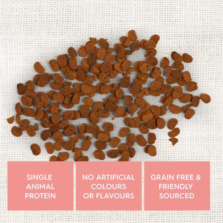 Cat Puree & Biscuit Treat Bundle