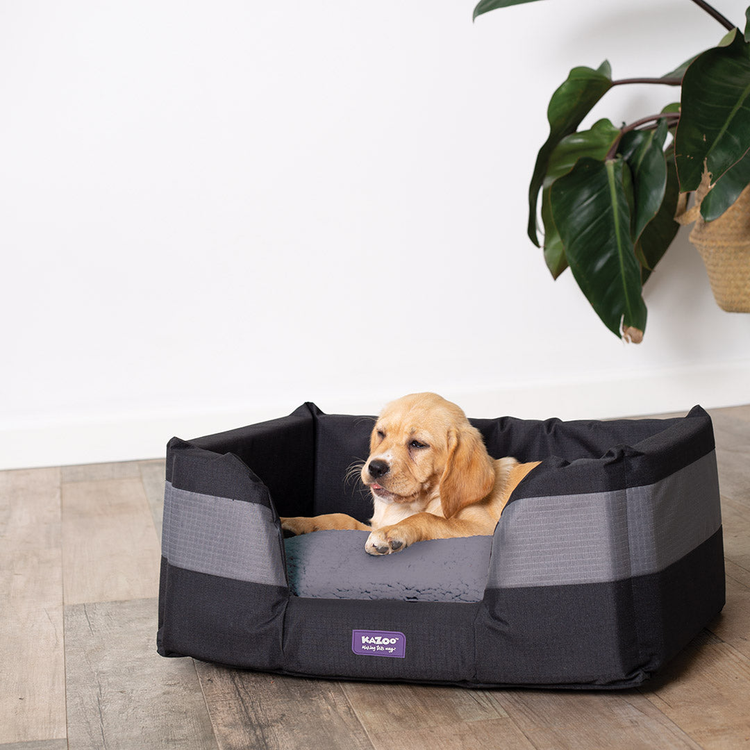 Cave Cube Dog Bed