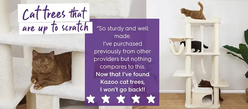Cat tree with a cat sitting on it, surrounded by text praising the cat tree's sturdiness and quality.