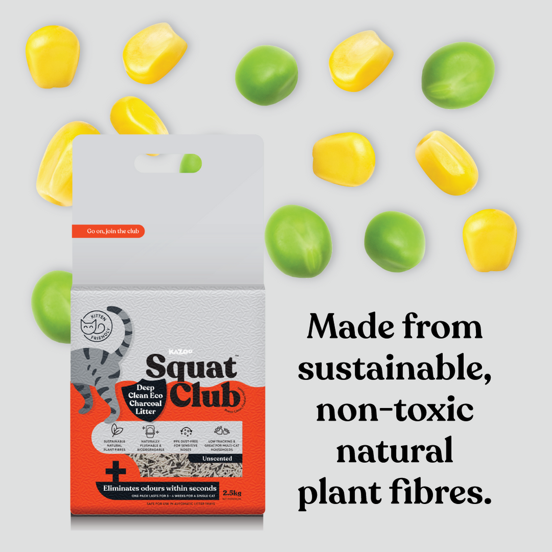 Deep Clean Eco Charcoal Cat Litter