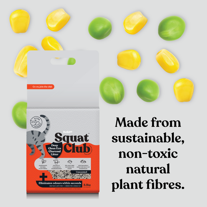 Deep Clean Eco Charcoal Cat Litter