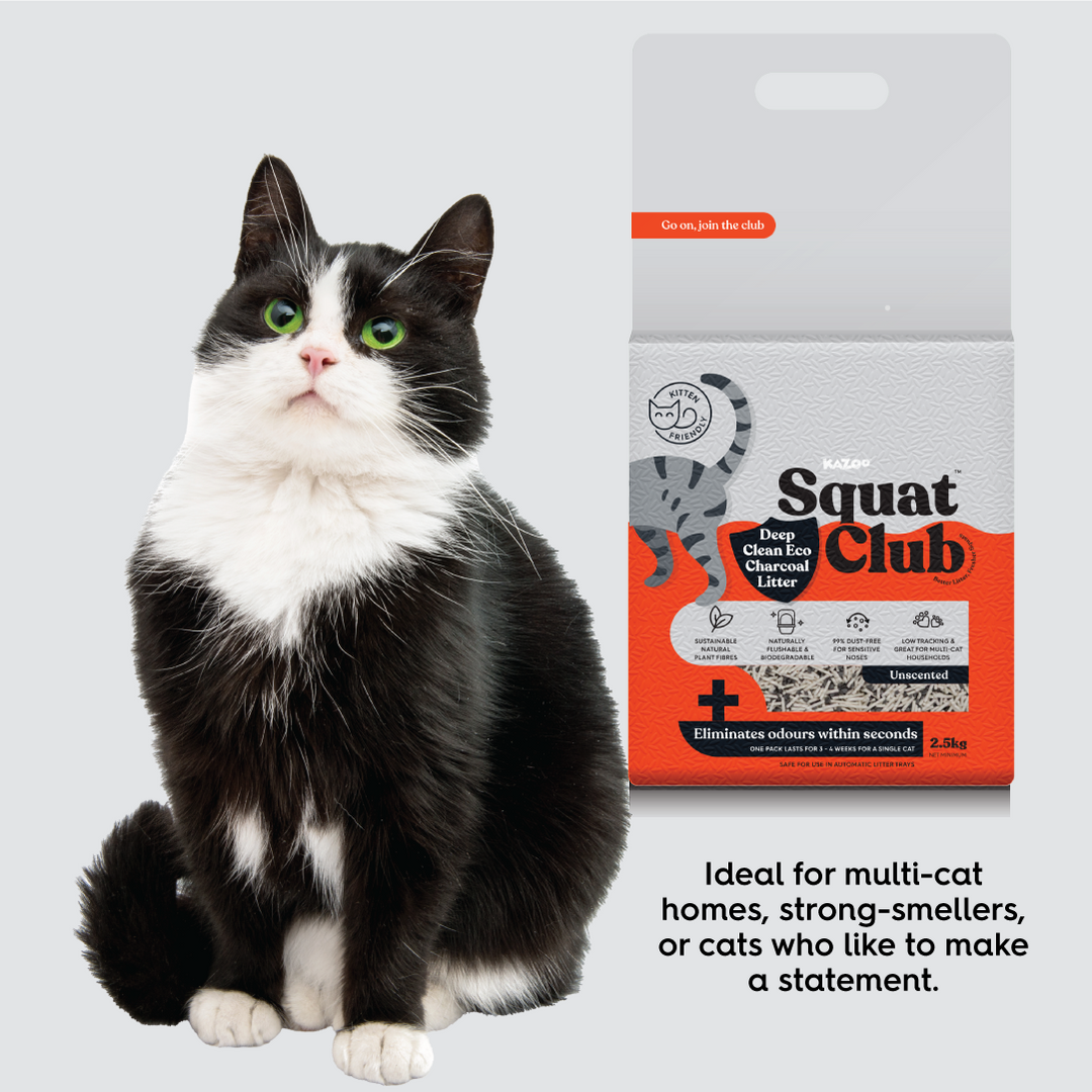 Deep Clean Eco Charcoal Cat Litter