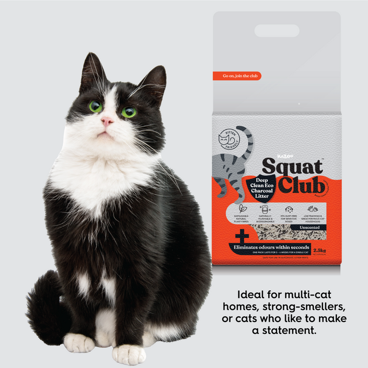 Deep Clean Eco Charcoal Cat Litter