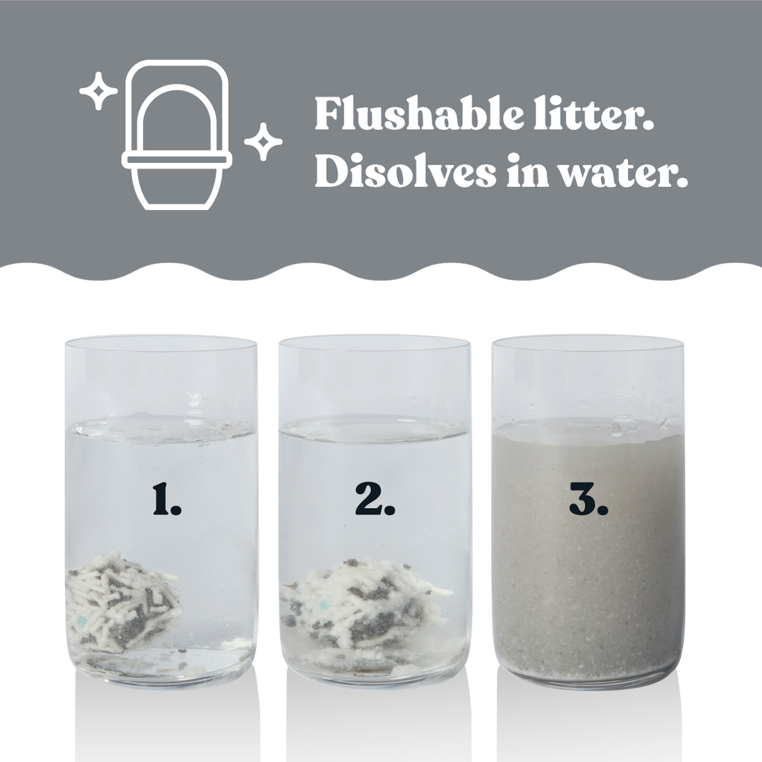 Deep Clean Eco Charcoal Cat Litter