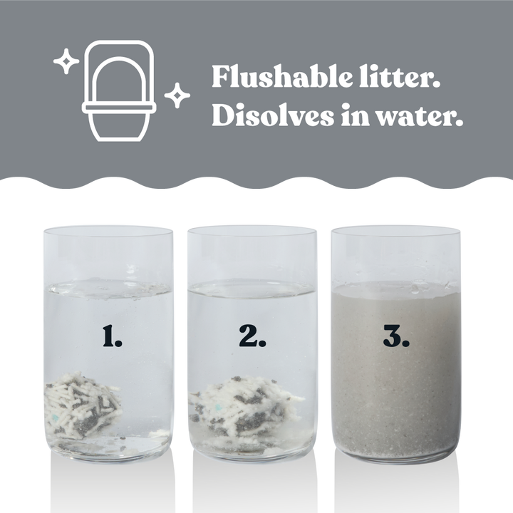 Deep Clean Eco Charcoal Cat Litter
