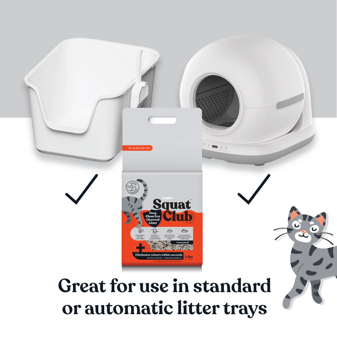 Deep Clean Eco Charcoal Cat Litter