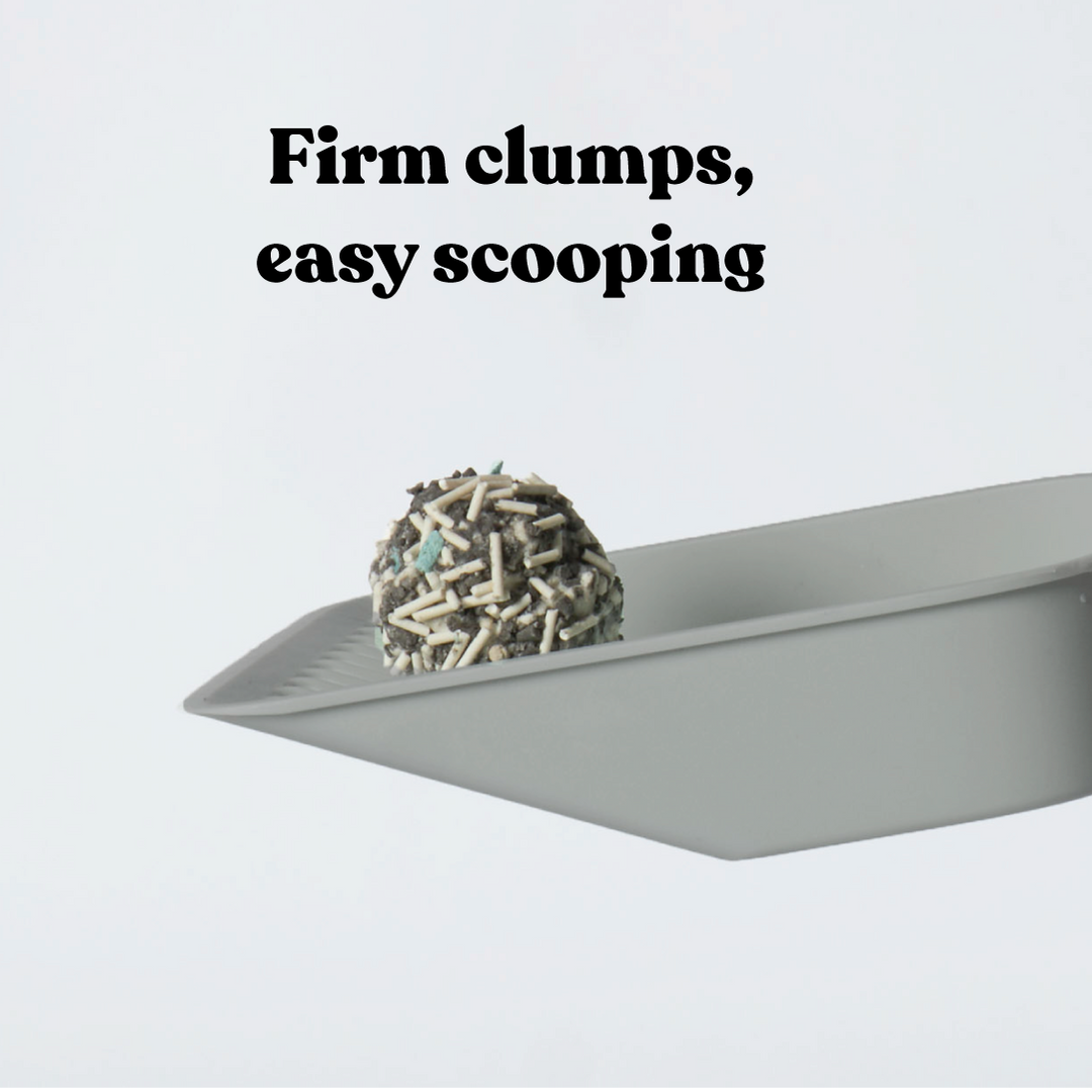 Deep Clean Eco Charcoal Cat Litter