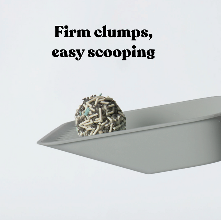 Deep Clean Eco Charcoal Cat Litter
