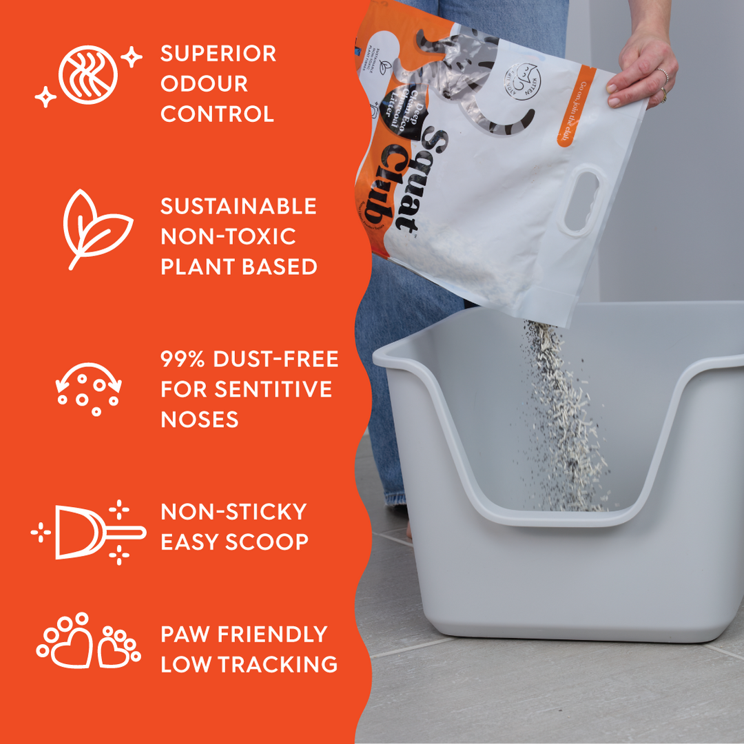 Deep Clean Eco Charcoal Cat Litter