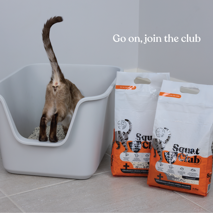 Deep Clean Eco Charcoal Cat Litter