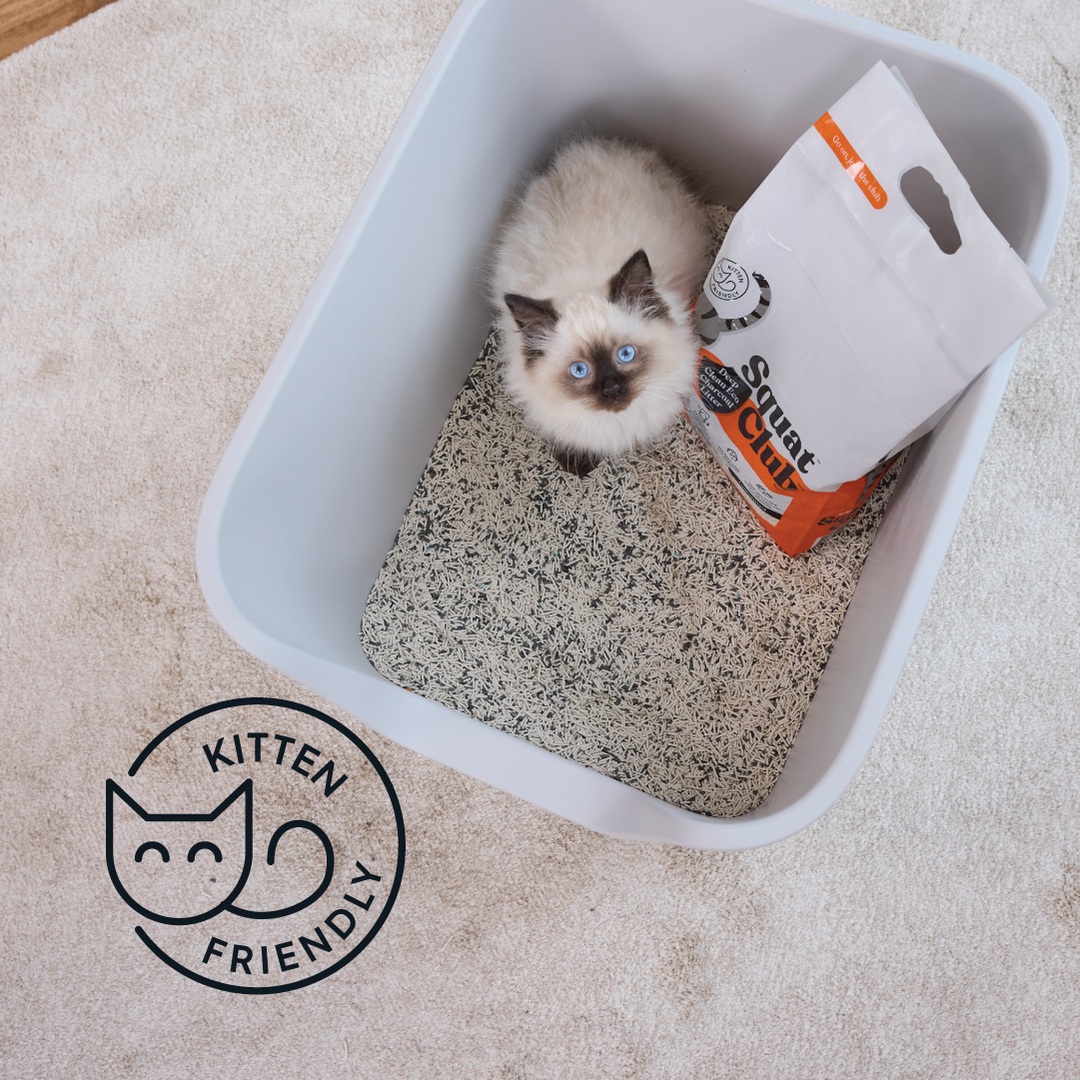 Deep Clean Eco Charcoal Cat Litter