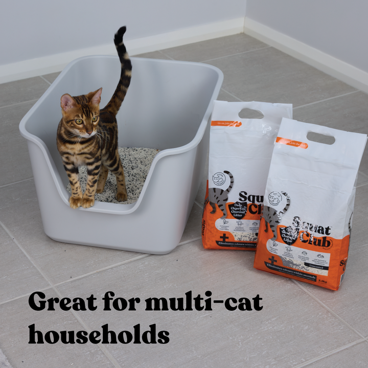 Deep Clean Eco Charcoal Cat Litter