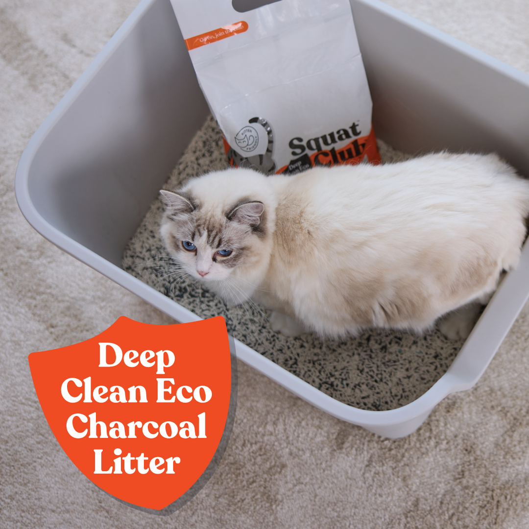 Deep Clean Eco Charcoal Cat Litter