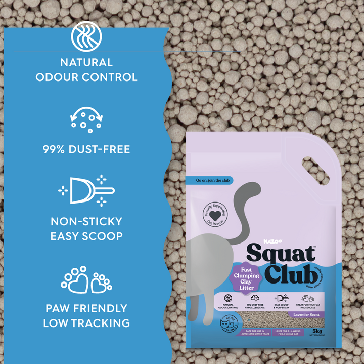 Fast Clumping Clay Cat Litter Lavender