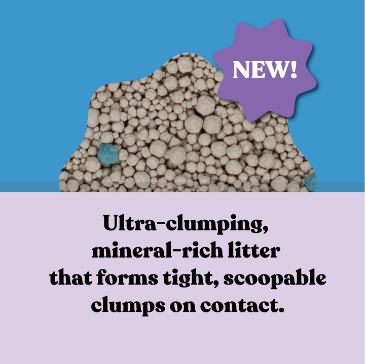 Fast Clumping Clay Cat Litter Lavender