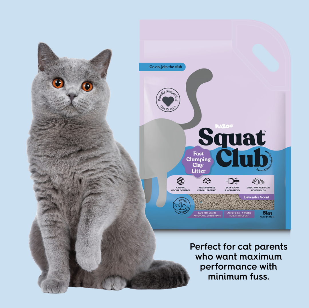 Fast Clumping Clay Cat Litter Lavender