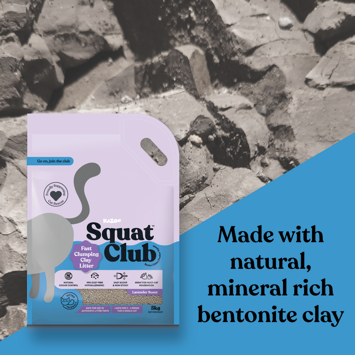 Fast Clumping Clay Cat Litter Lavender
