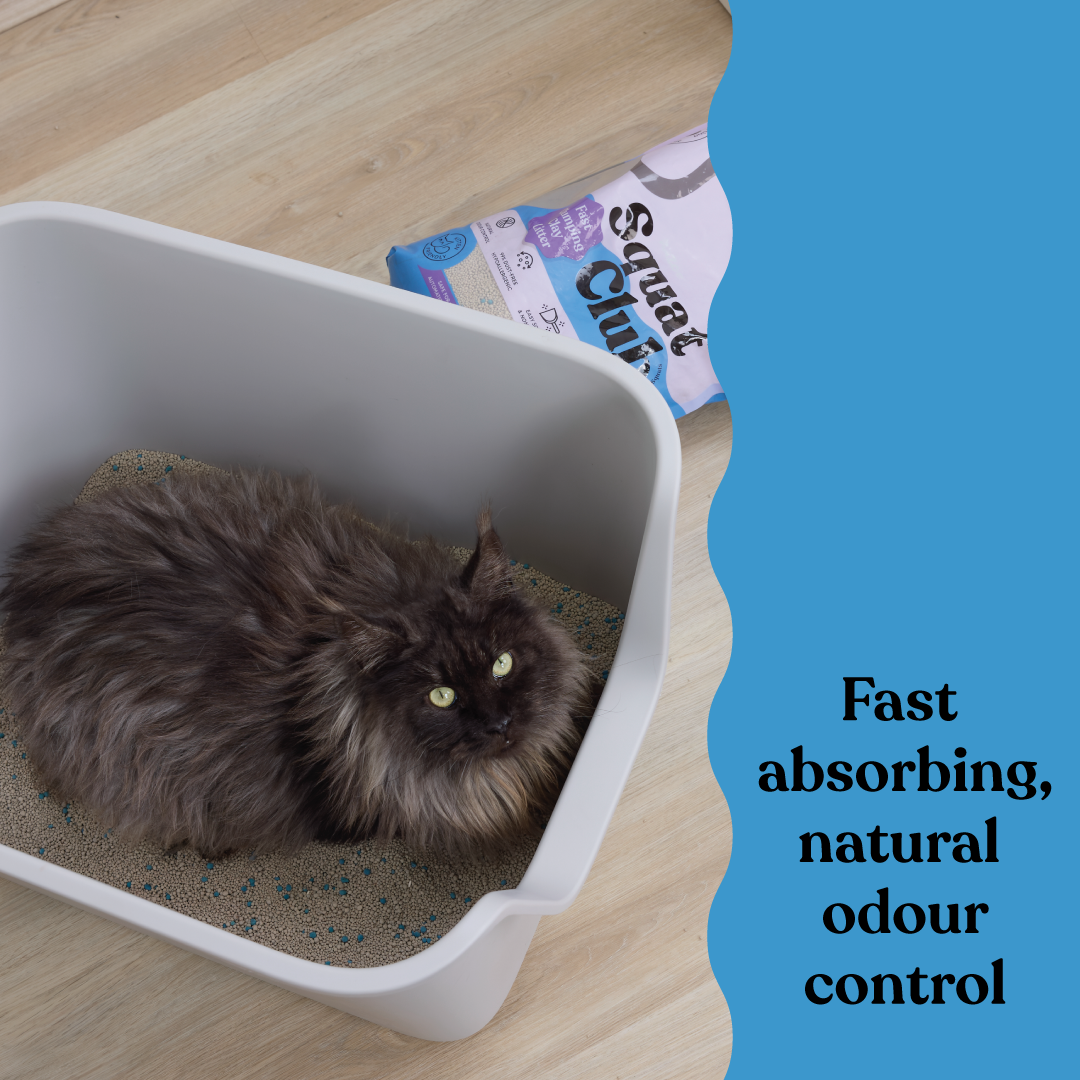 Fast Clumping Clay Cat Litter Lavender