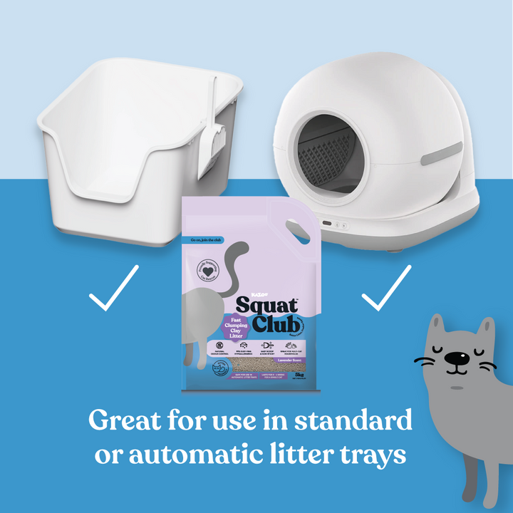 Fast Clumping Clay Cat Litter Lavender