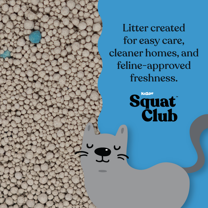Fast Clumping Clay Cat Litter Unscented
