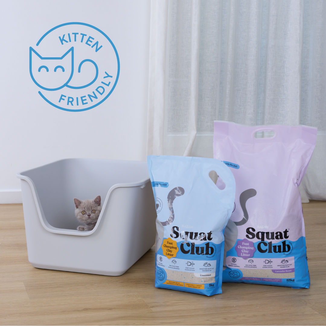 Fast Clumping Clay Cat Litter Unscented