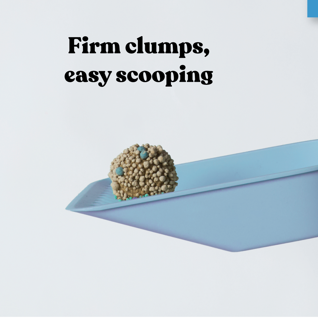 Fast Clumping Clay Cat Litter Unscented