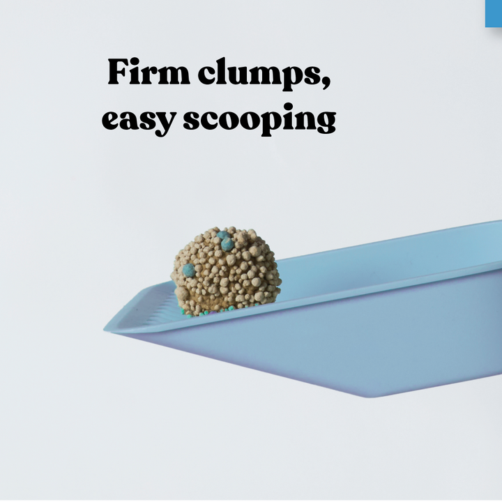 Fast Clumping Clay Cat Litter Unscented