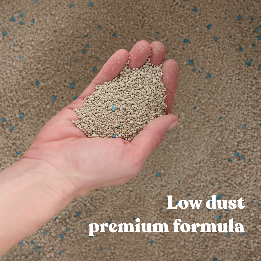 Fast Clumping Clay Cat Litter Unscented
