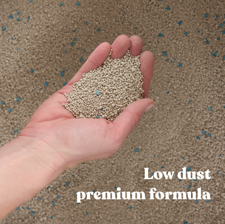 Fast Clumping Clay Cat Litter Unscented