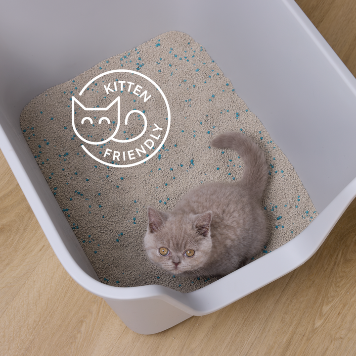 Fast Clumping Clay Cat Litter Unscented