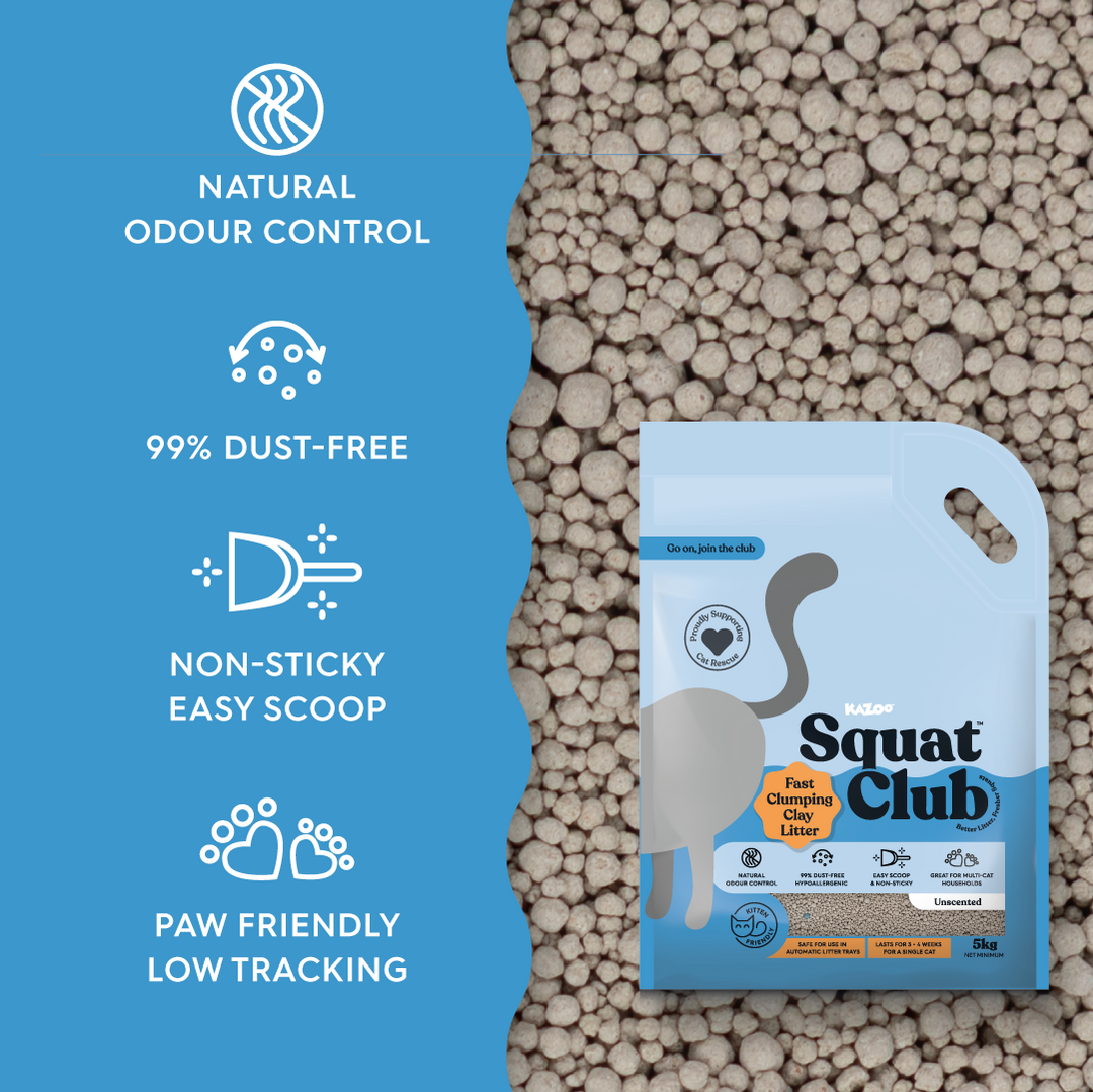 Fast Clumping Clay Cat Litter Unscented