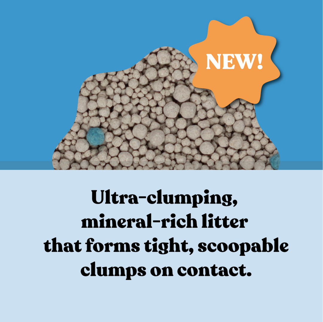 Fast Clumping Clay Cat Litter Unscented