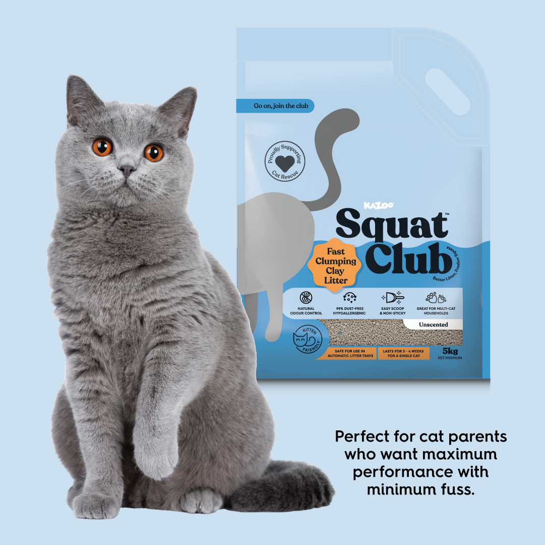 Fast Clumping Clay Cat Litter Unscented