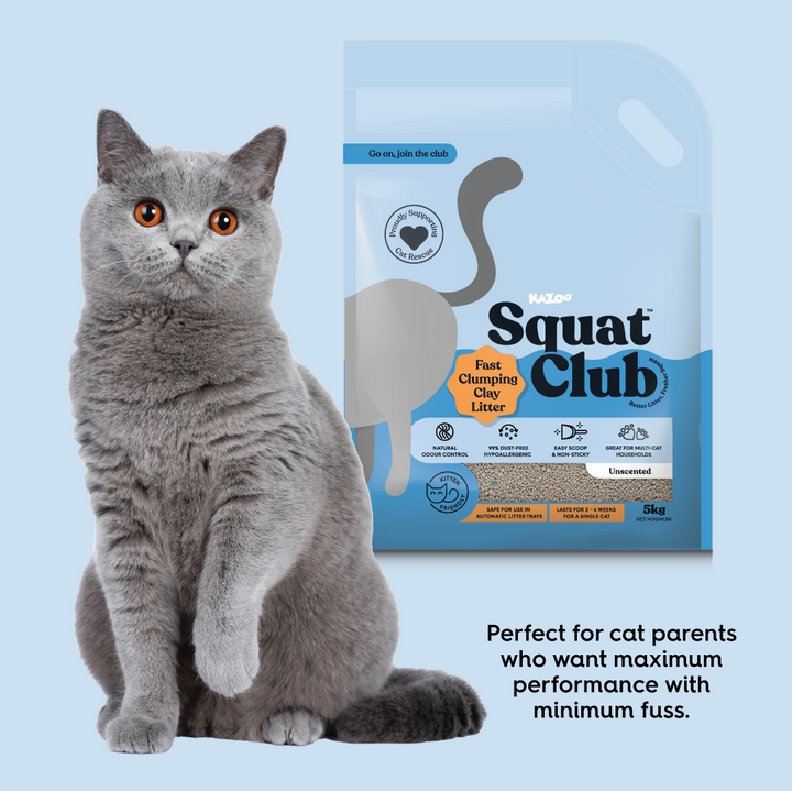 Fast Clumping Clay Cat Litter Unscented